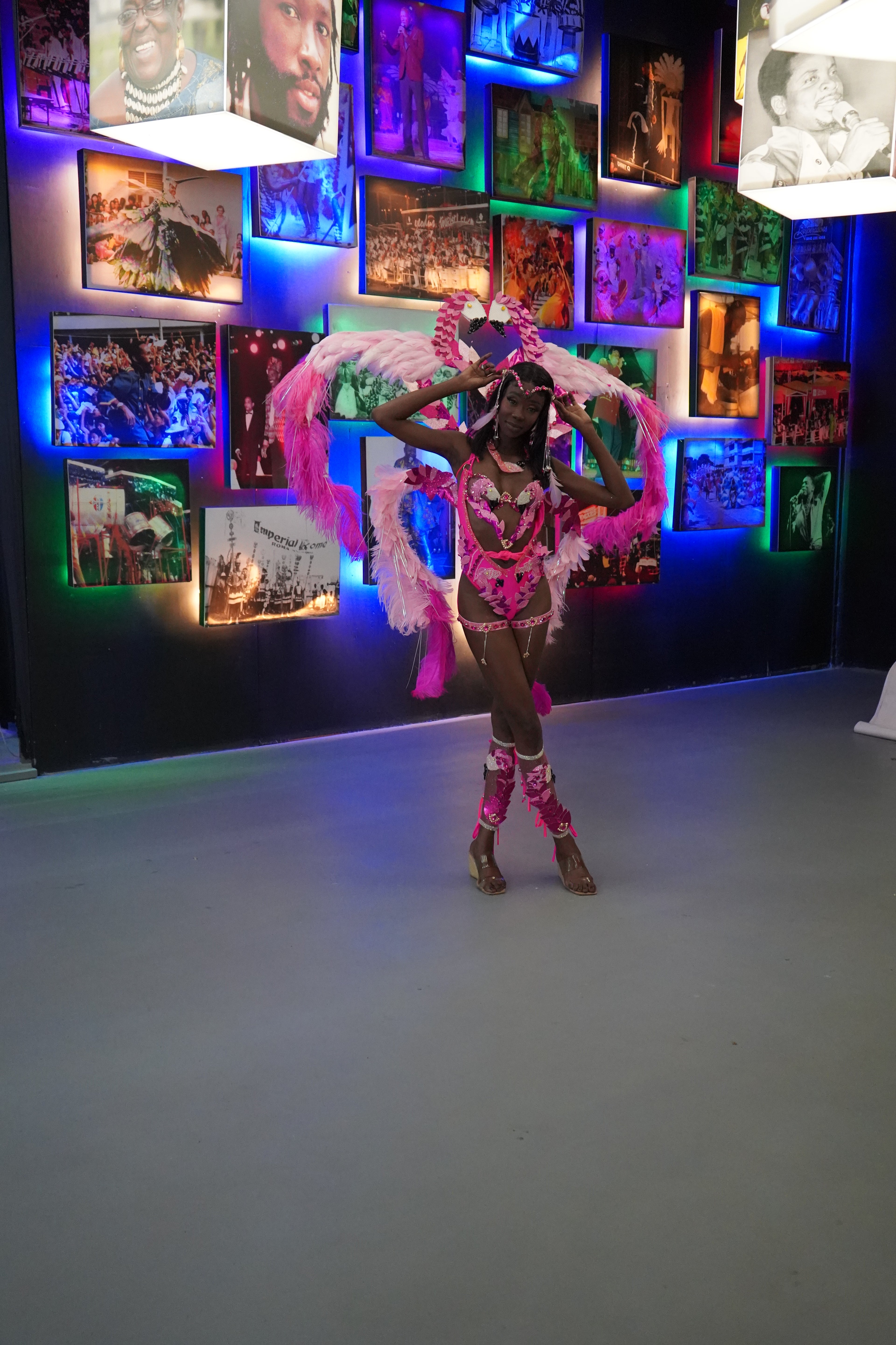 Flamingo Back Pack by Naomi Lynch