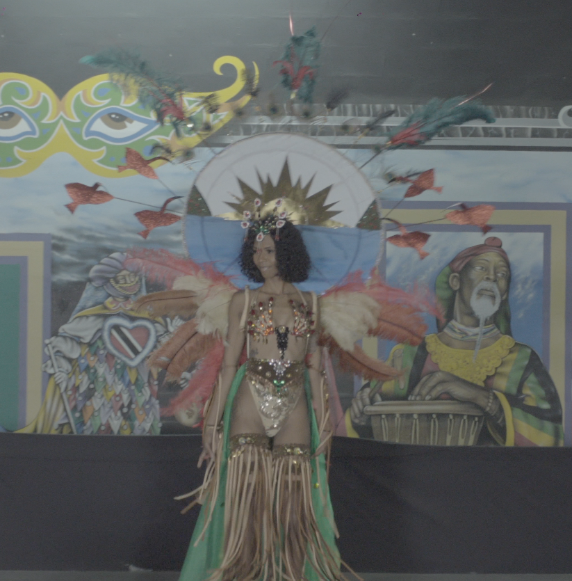 Caroni Bird Sanctuary Wire Bra by Anthony Machikan