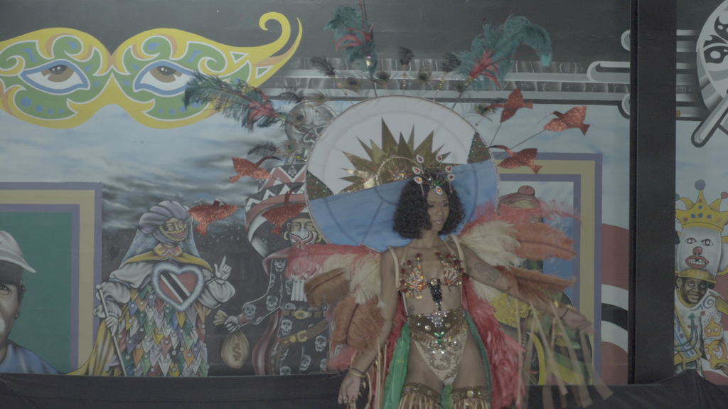 Caroni Bird Sanctuary Wire Bra by Anthony Machikan