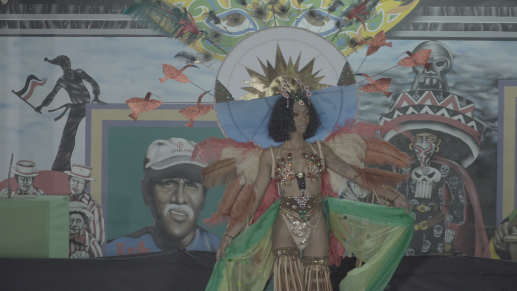 Caroni Bird Sanctuary Wire Bra by Anthony Machikan