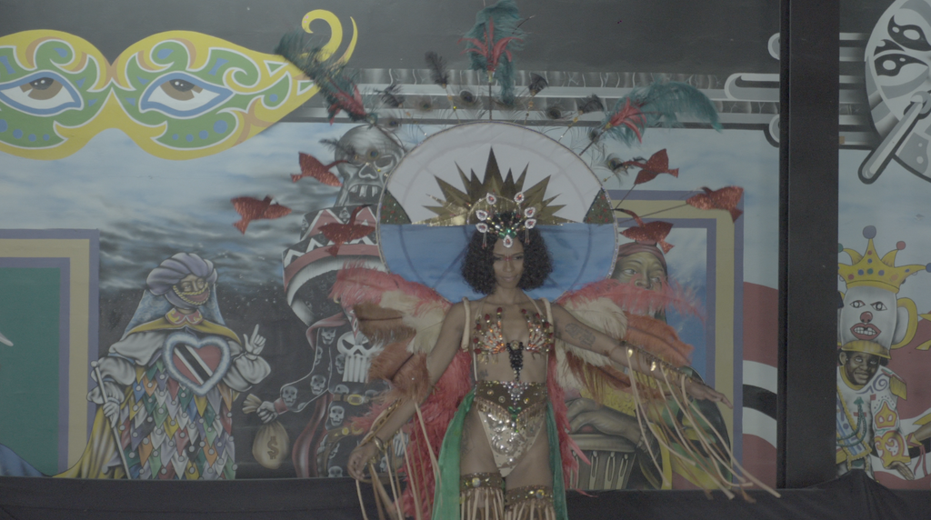 Caroni Bird Sanctuary Wire Bra by Anthony Machikan